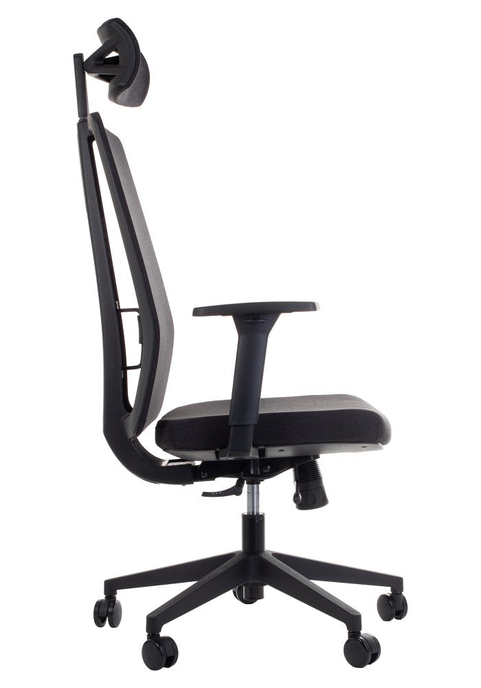 Ergonomic Office Chair ZN-807