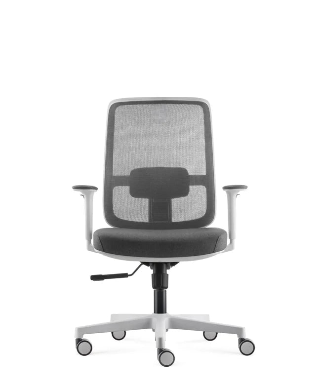 Ergonomic Office Chair Ergo Basic W