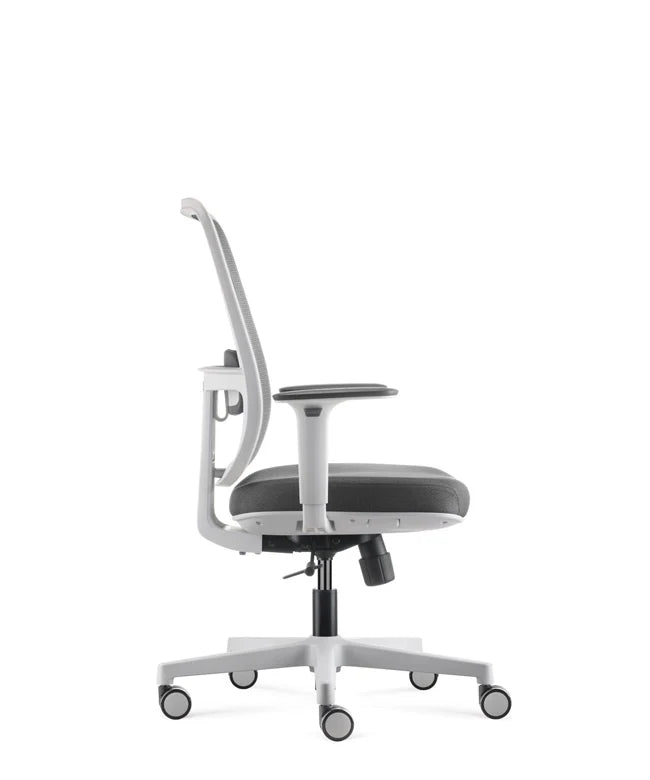 Ergonomic Office Chair Ergo Basic W