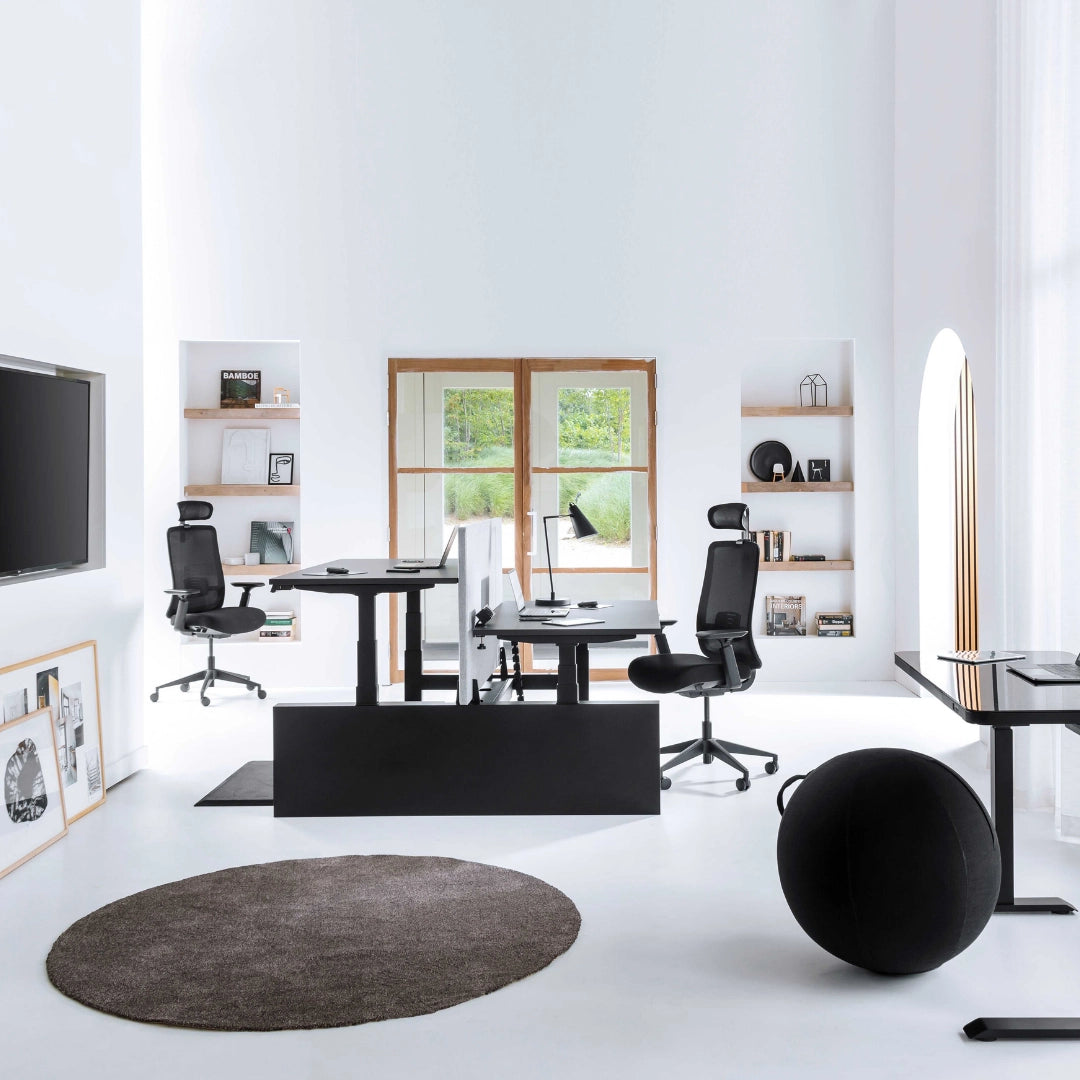 The image features an ergonomic seating ball, designed to promote better posture and active sitting. It is set in a modern office environment, which includes ergonomic office chairs and adjustable desks. The space is bright and minimalistic, with a focus on functionality and comfort.