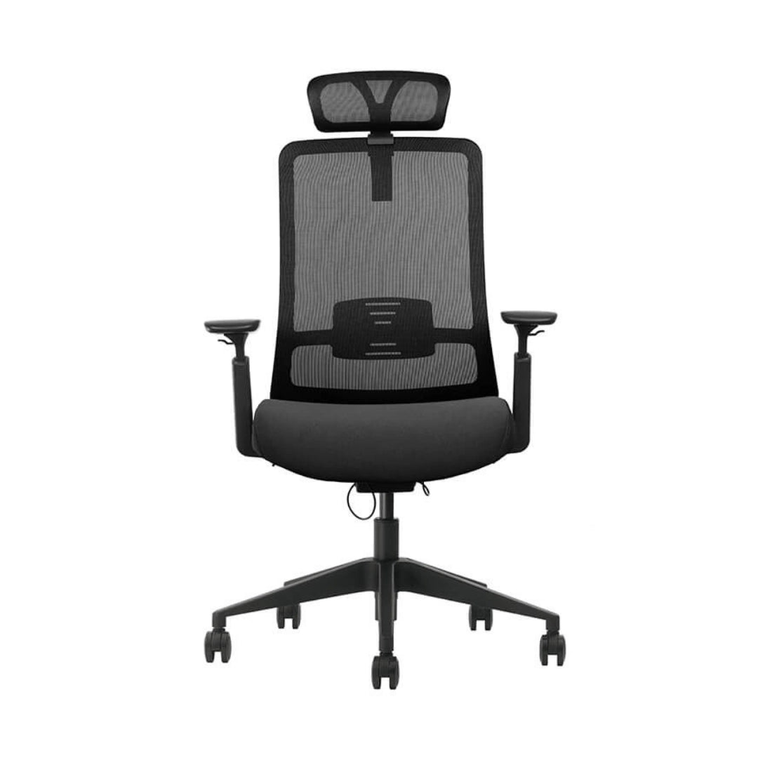 The product is an ergonomic office chair, specifically the Vane model. The chair features a high mesh back for breathability, a padded seat for comfort, and adjustable armrests. Its design emphasizes support and ergonomic functionality, making it suitable for long hours of use in an office setting.