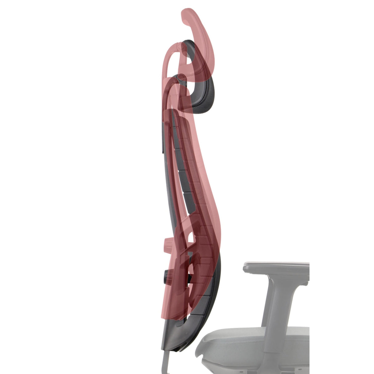 Ergonomic Office Chair Akcent