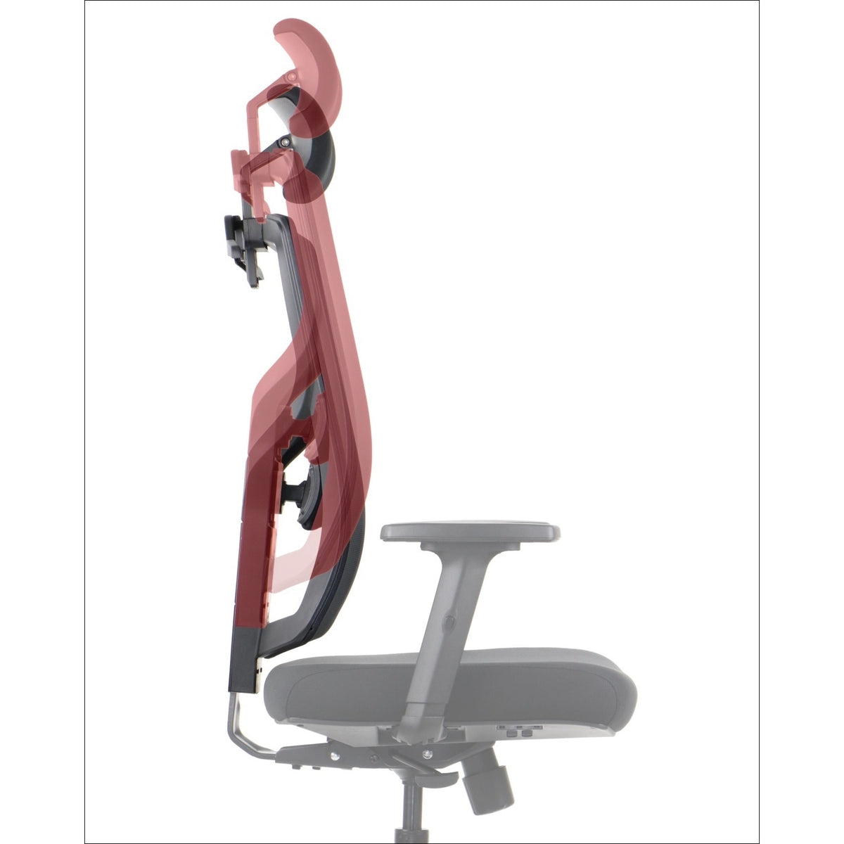Ergonomic Office Chair Curtiz