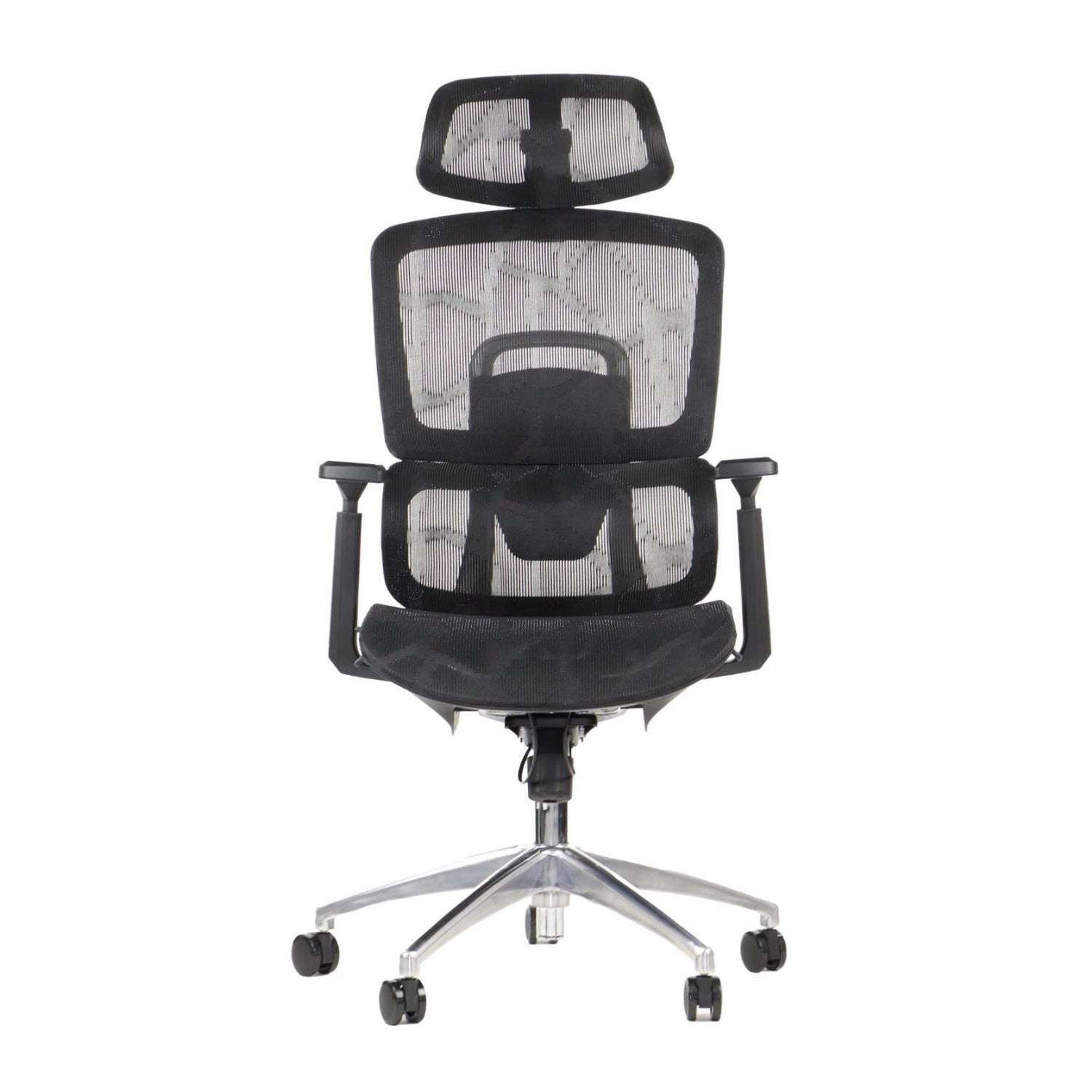 Ergonomic Office Chair ErgoNew A1
