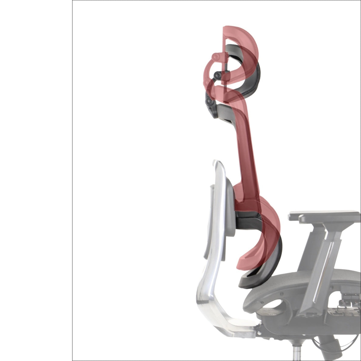 Ergonomic Office Chair ErgoNew A1