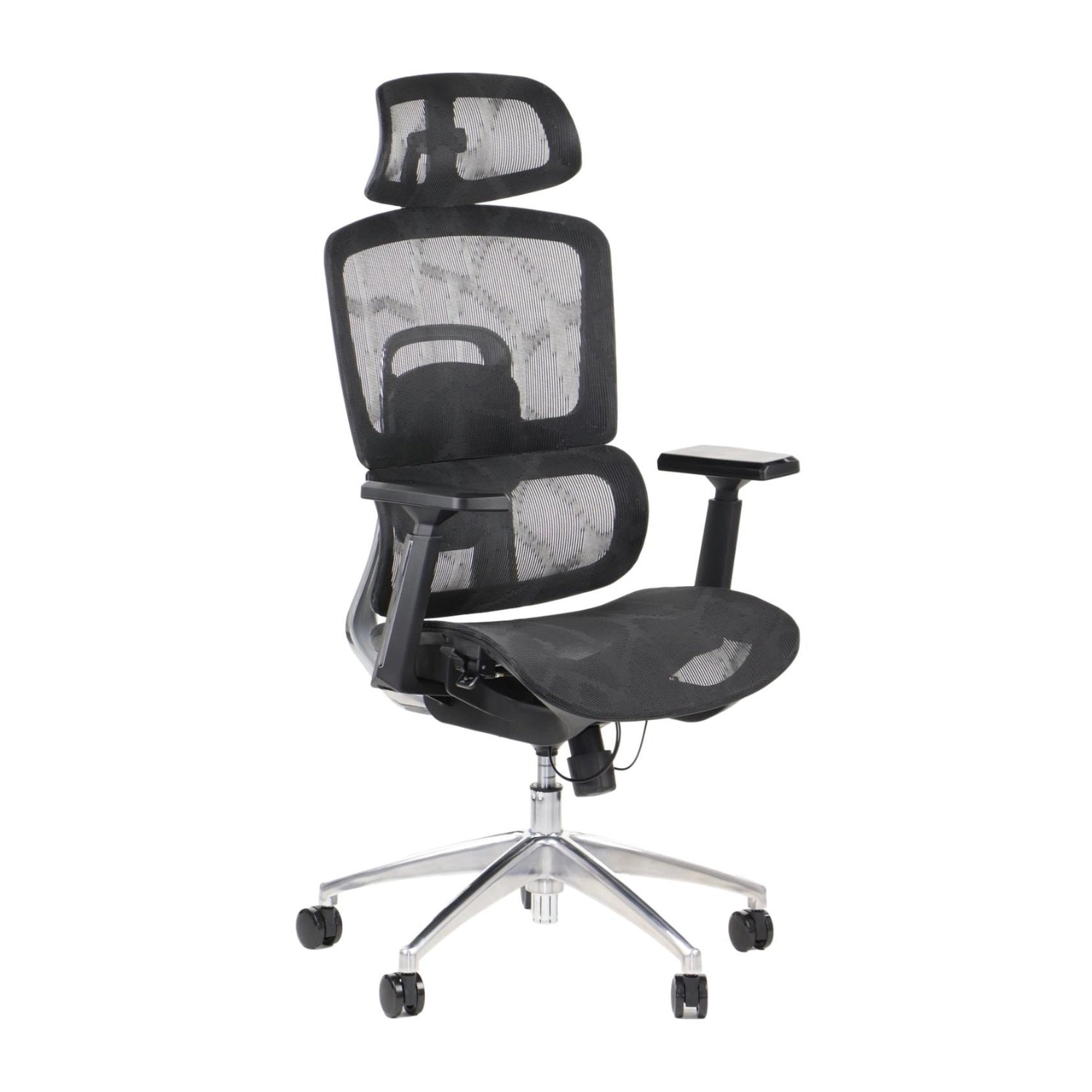 Ergonomic Office Chair ErgoNew A1