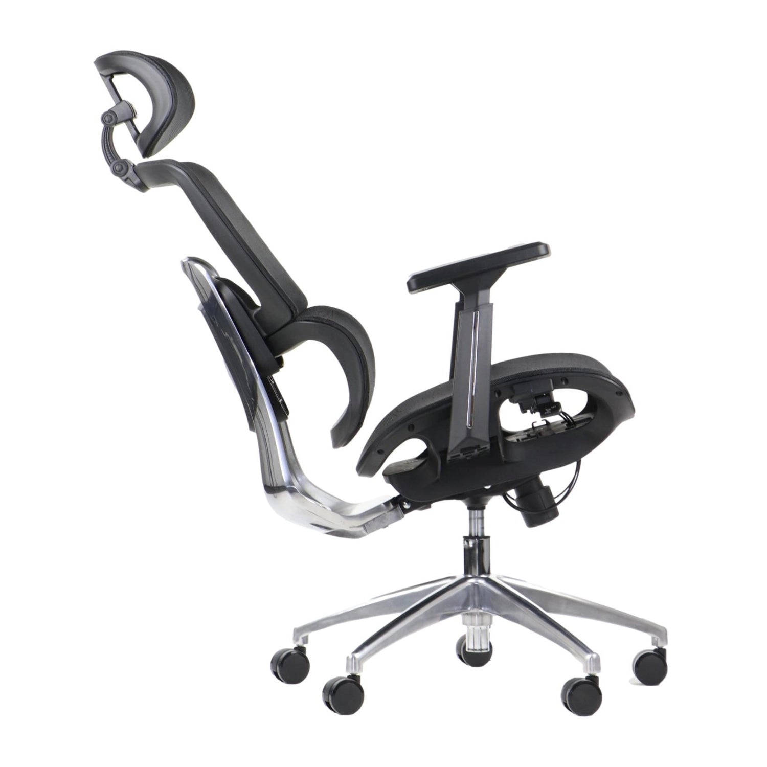 Ergonomic Office Chair ErgoNew A1
