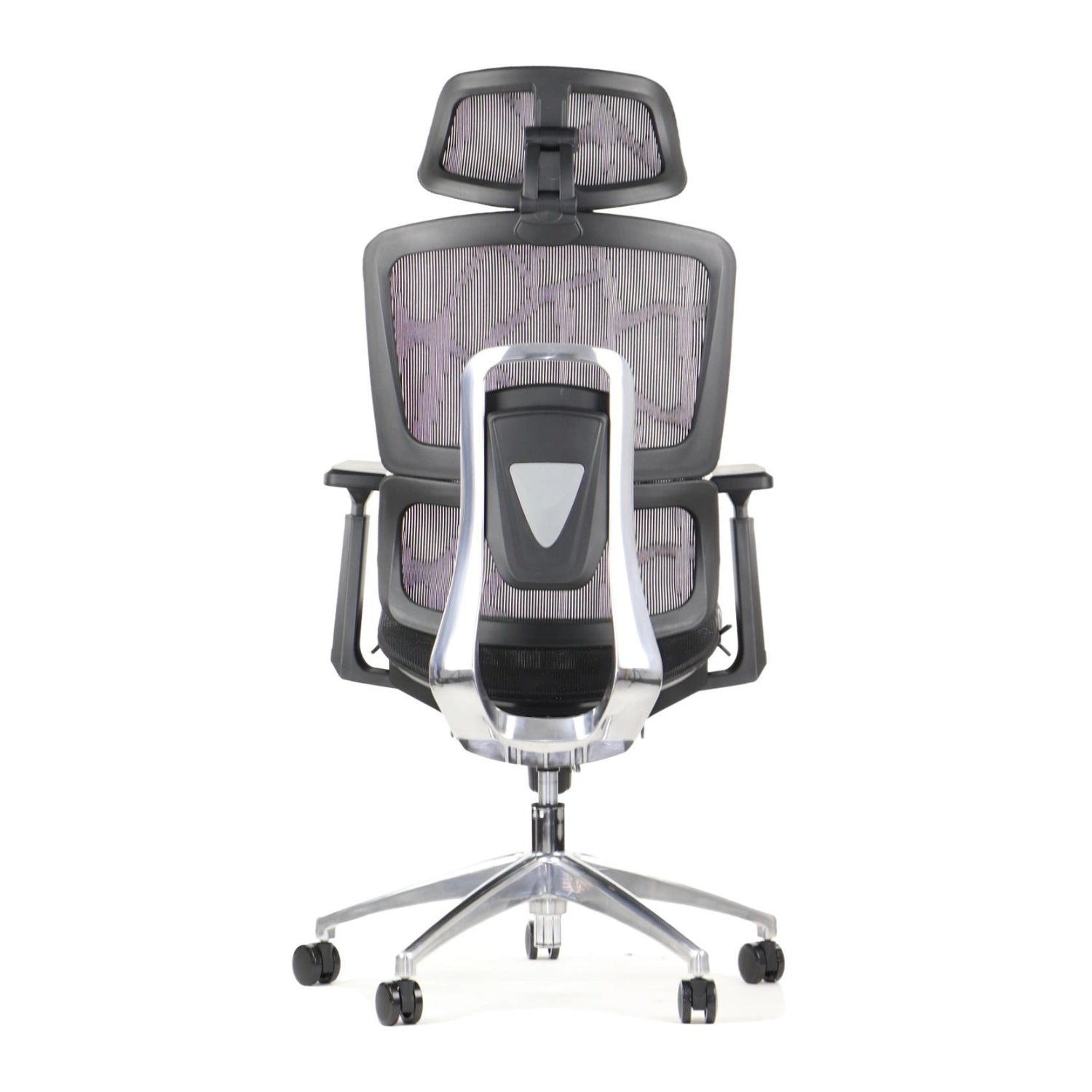 Ergonomic Office Chair ErgoNew A1