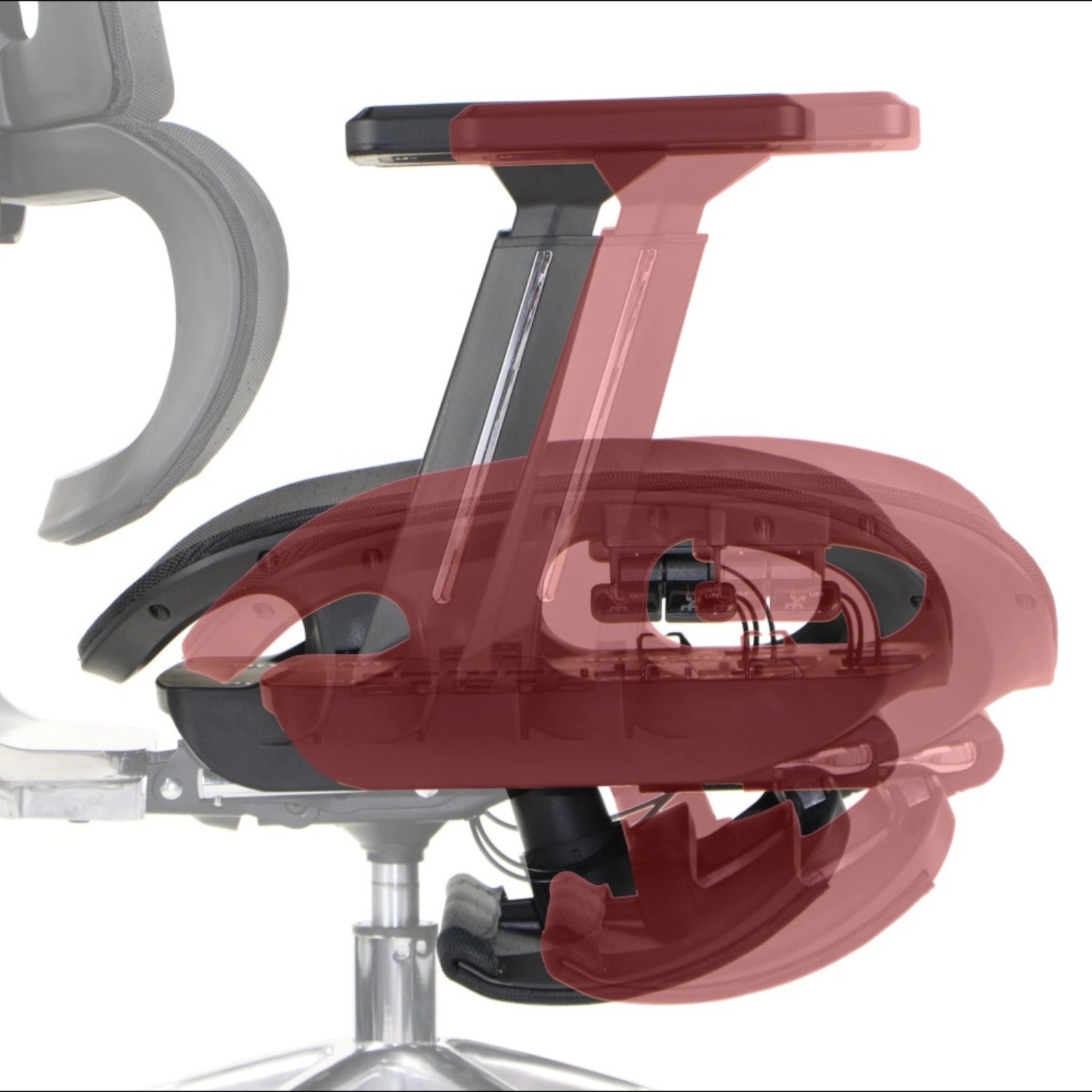 Ergonomic Office Chair ErgoNew A1F