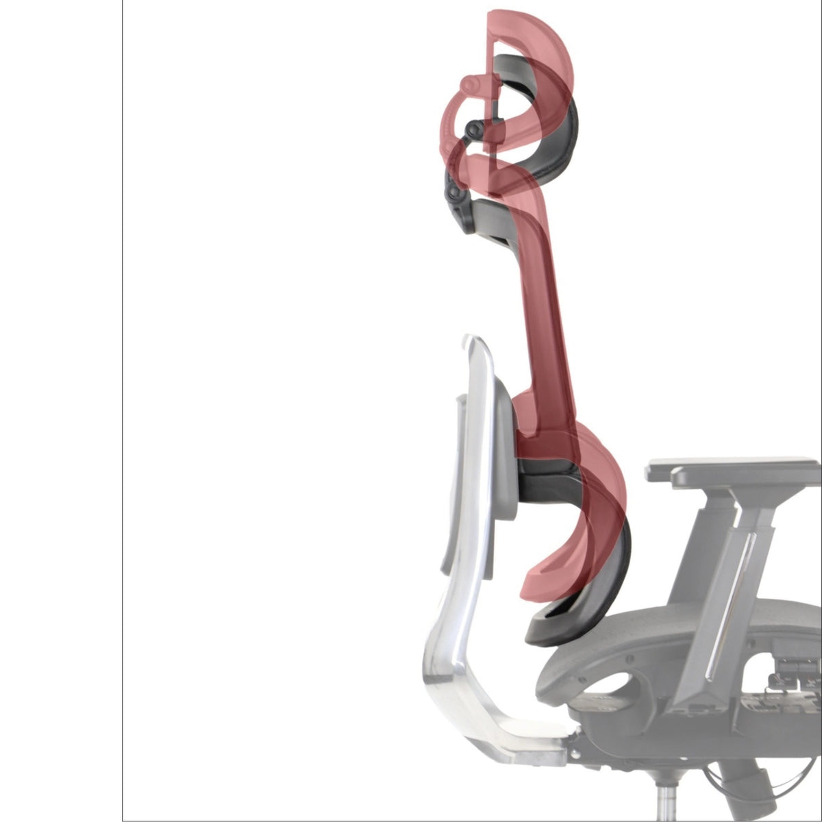 Ergonomic Office Chair ErgoNew A1F