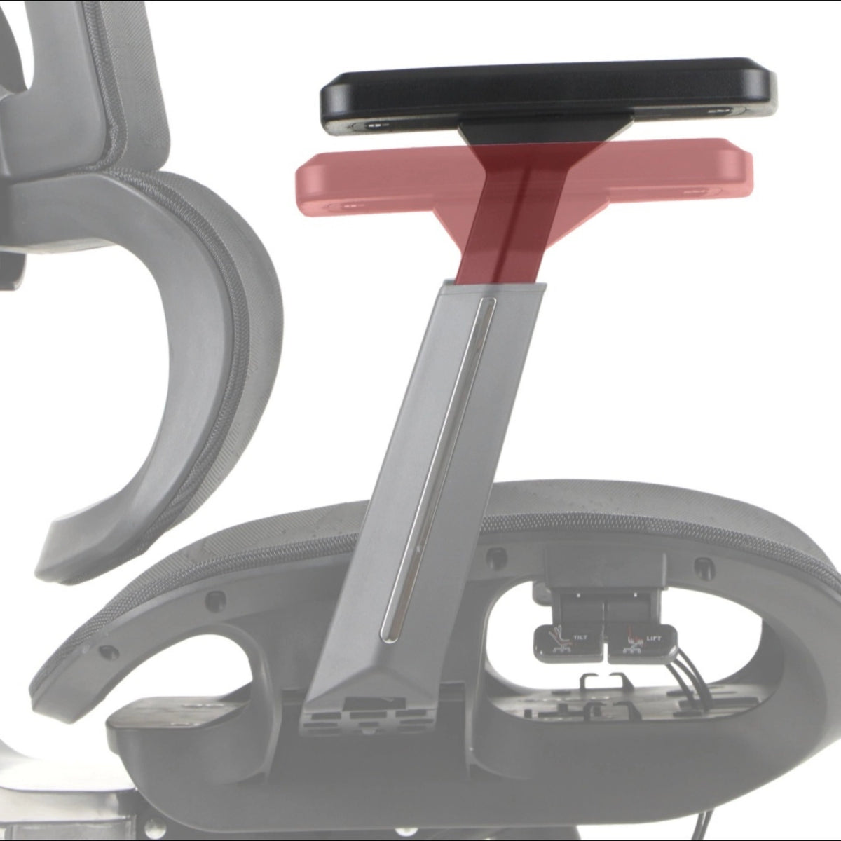 Ergonomic Office Chair ErgoNew A1F