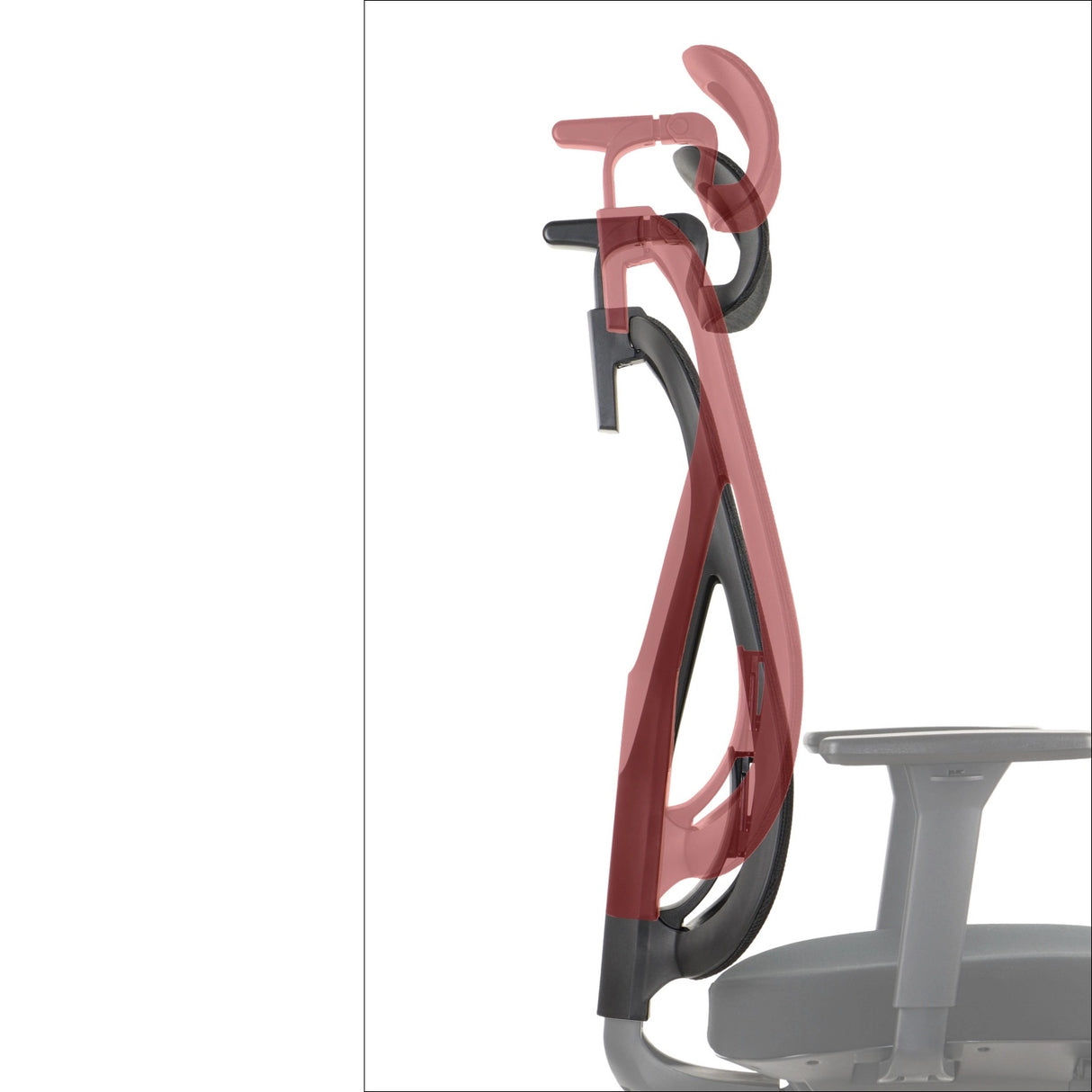 Ergonomic Office Chair Larck