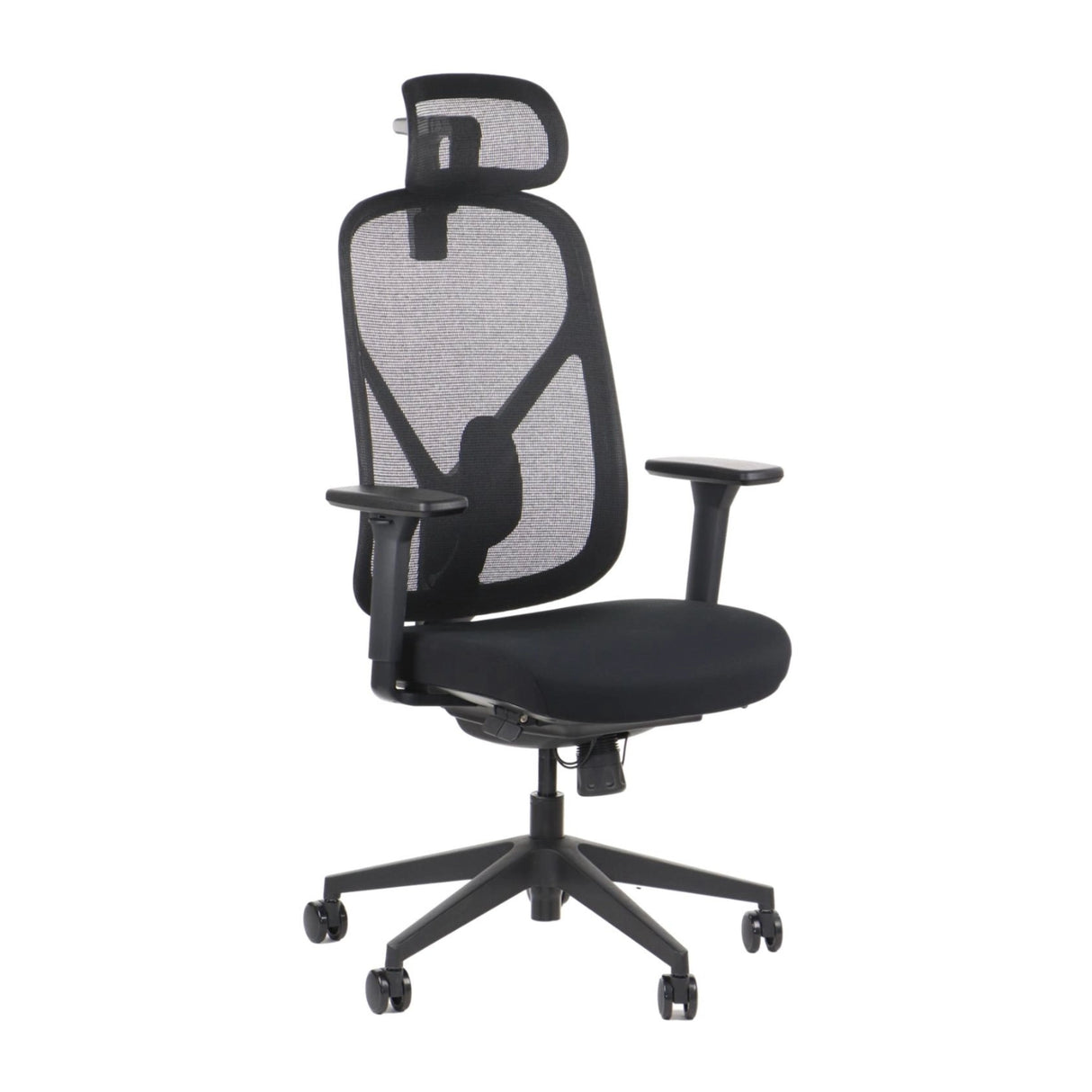 Ergonomic Office Chair Larck