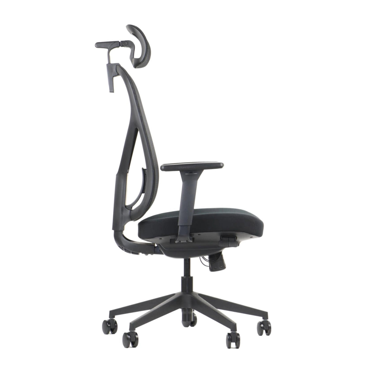 Ergonomic Office Chair Larck