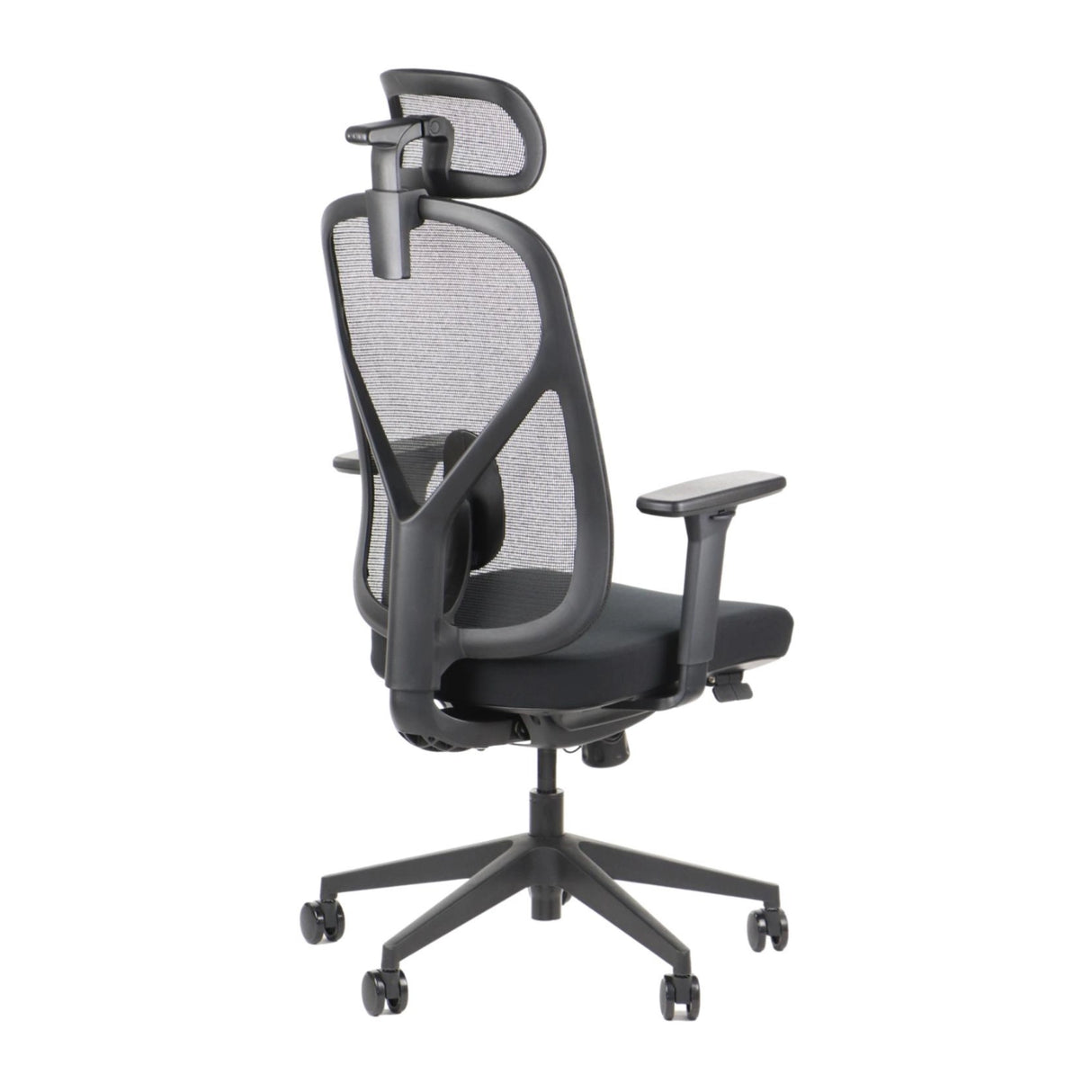 Ergonomic Office Chair Larck