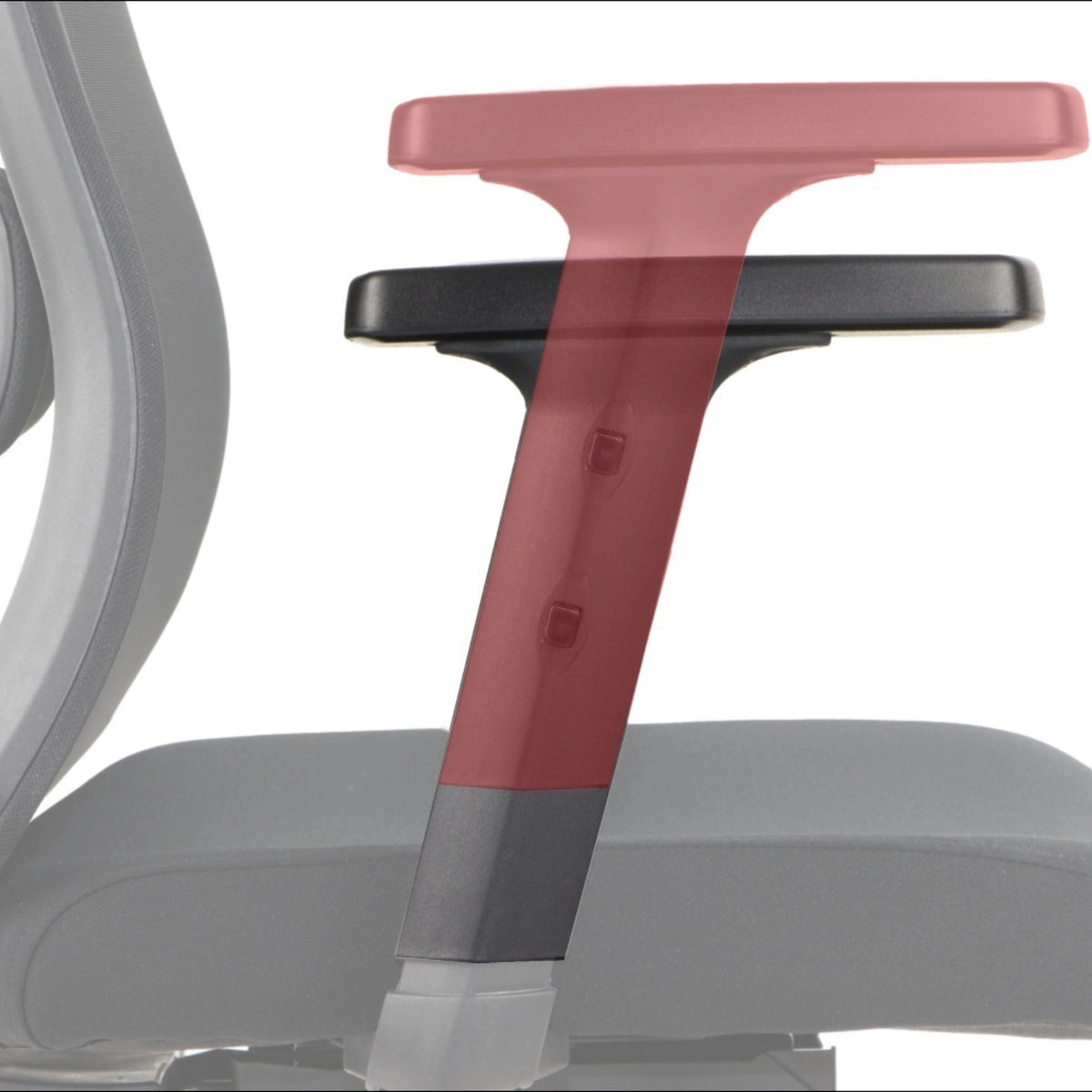 Ergonomic Office Chair Morton