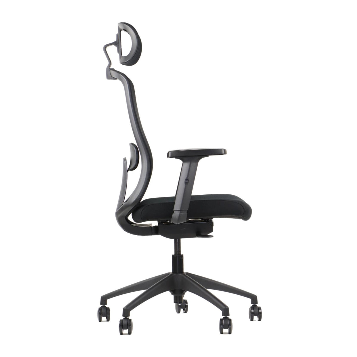 Ergonomic Office Chair Morton