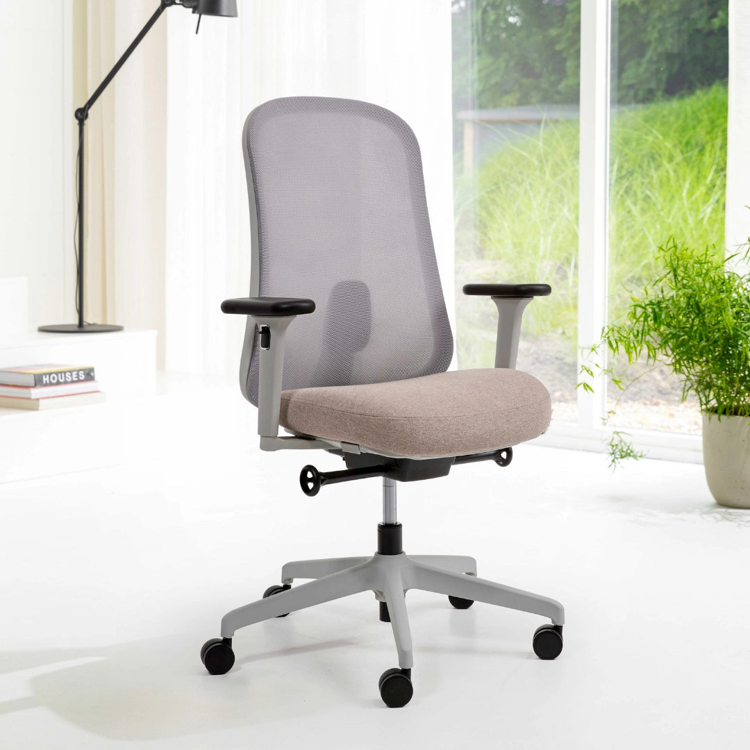 The image features an ergonomic office chair with a mesh back and a cushioned seat. It appears to have adjustable armrests and a five-star base with wheels for mobility. The setting includes a bright room with natural light, plants, and a lamp, suggesting a modern and comfortable workspace.