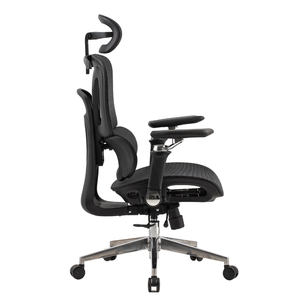 Ergonomic Office Chair Trek PLUS