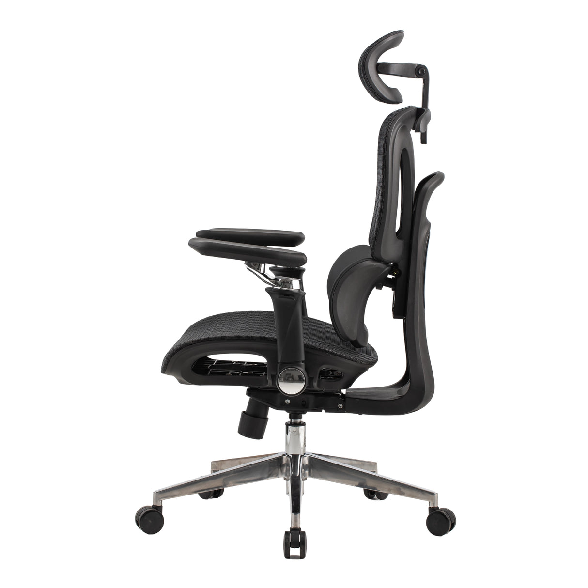 Ergonomic Office Chair Trek PLUS