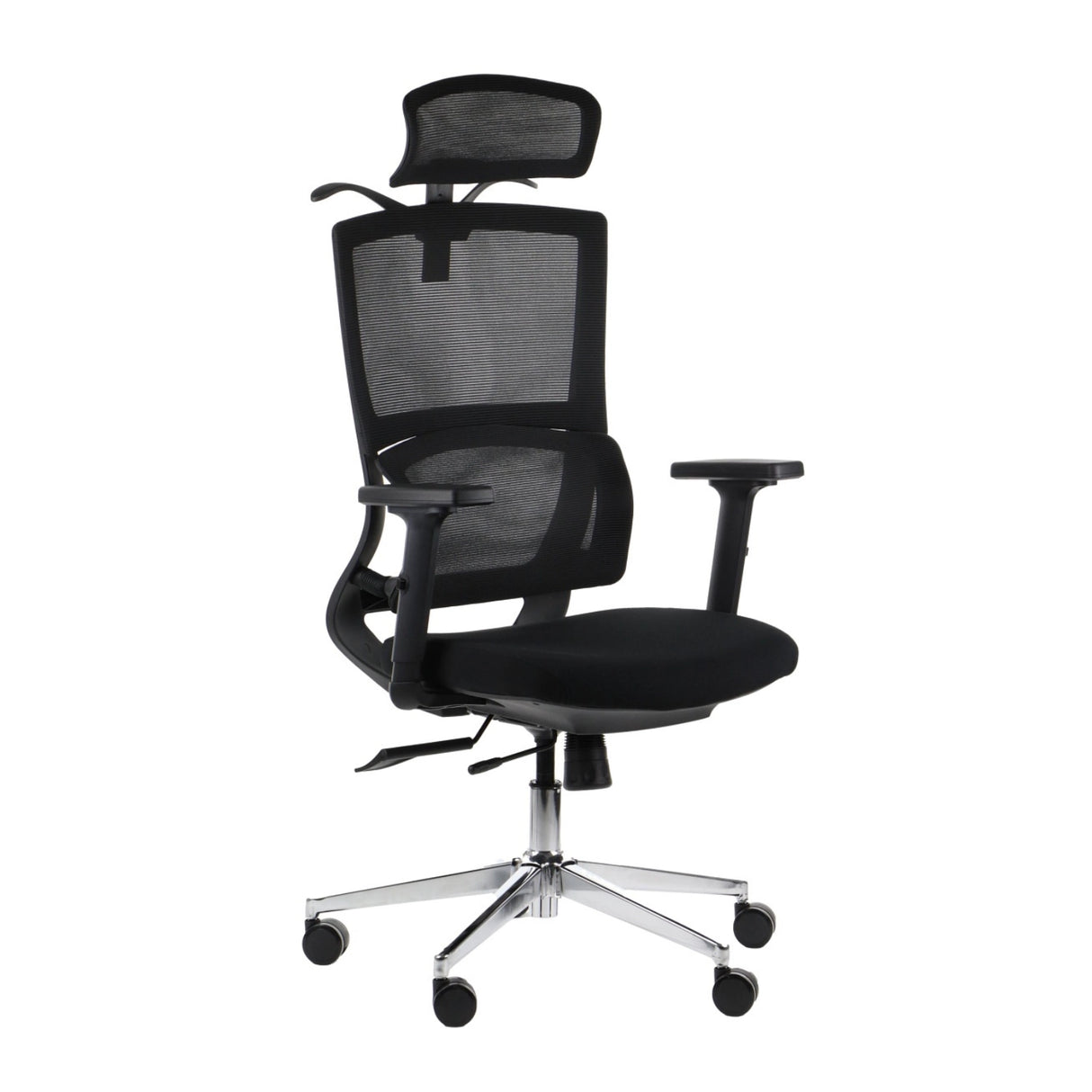 Ergonomic Office Chair Trent