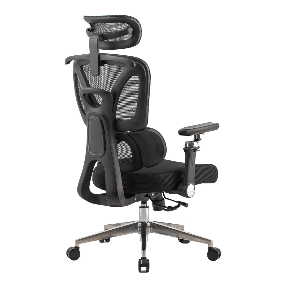 Ergonomic Office Chair Trek