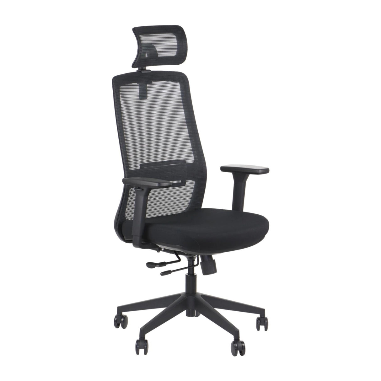 Ergonomic Office Chair Wister