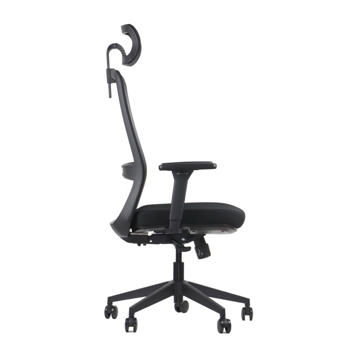 Ergonomic Office Chair Wister