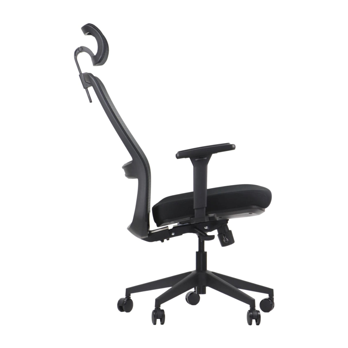 Ergonomic Office Chair Wister