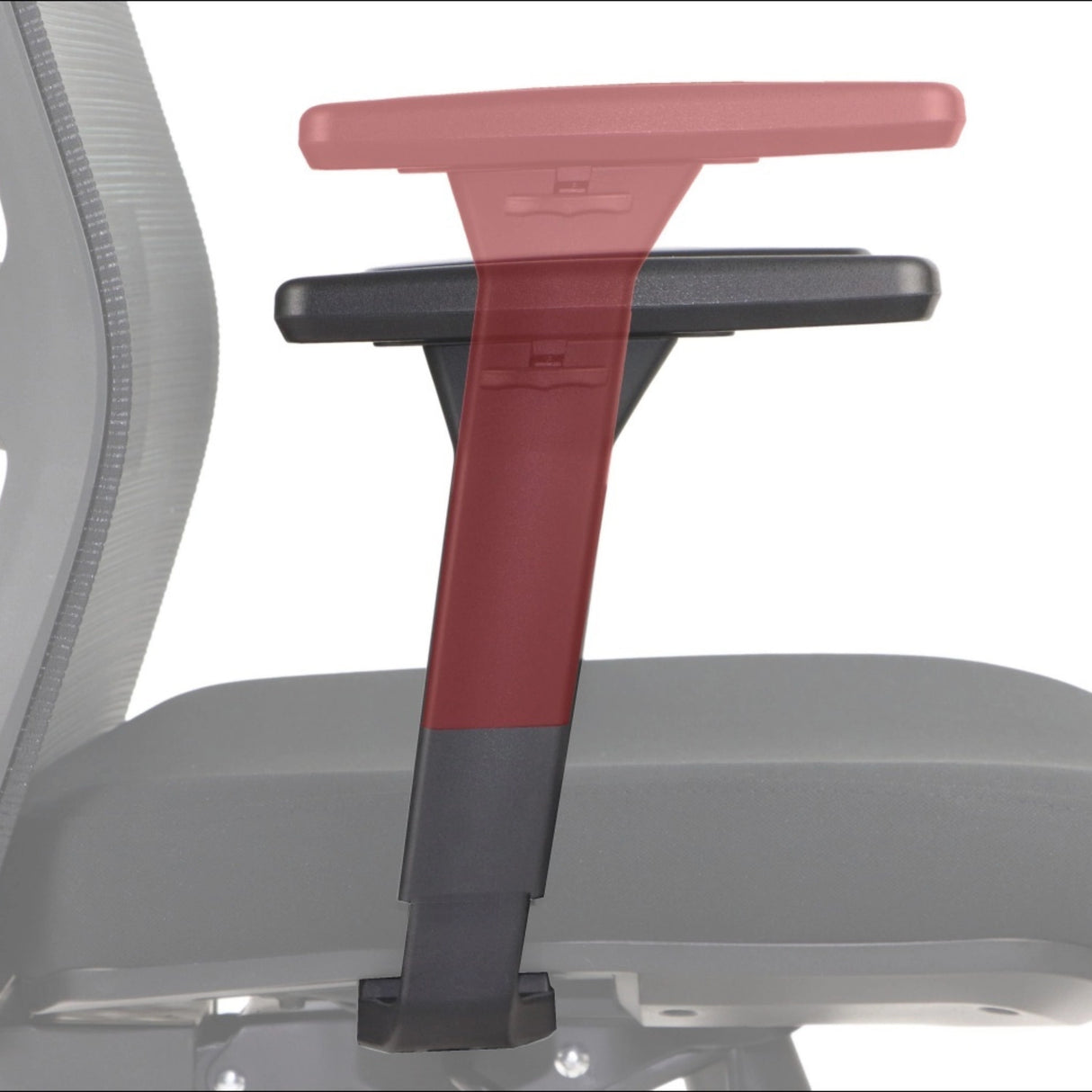 Ergonomic Office Chair Wister