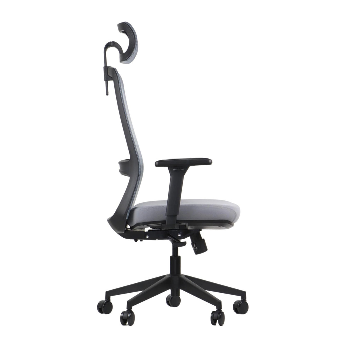 Ergonomic Office Chair Wister