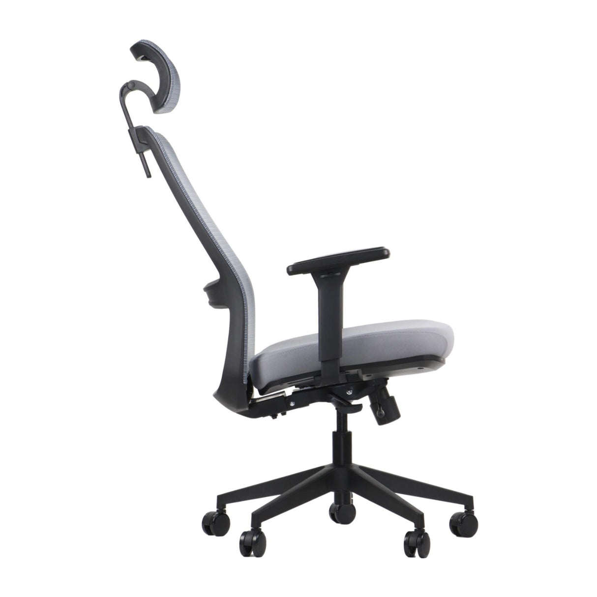 Ergonomic Office Chair Wister