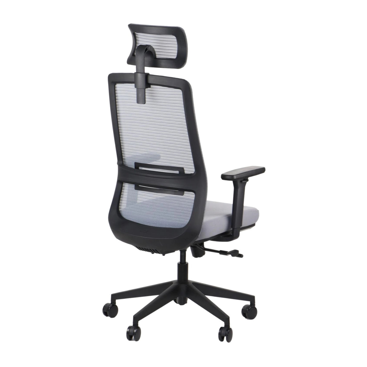 Ergonomic Office Chair Wister