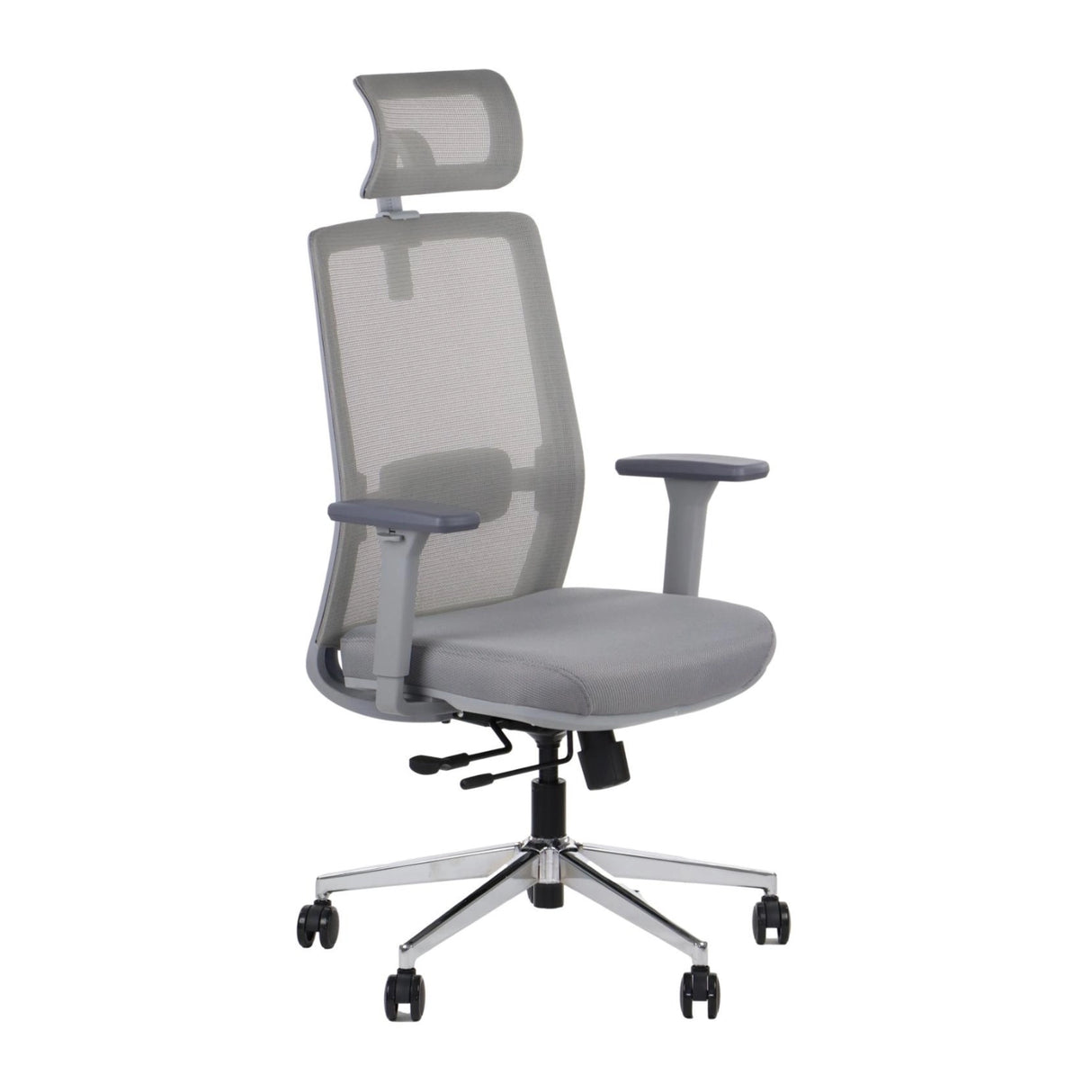 Ergonomic Office Chair CUTLER GF