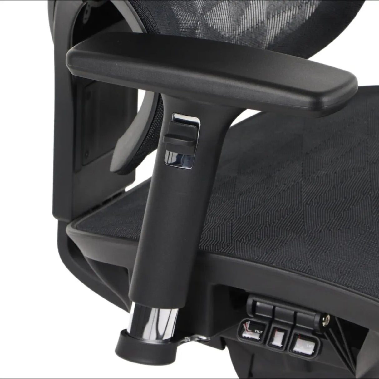 Ergonomic Office Chair ErgoNew S1A