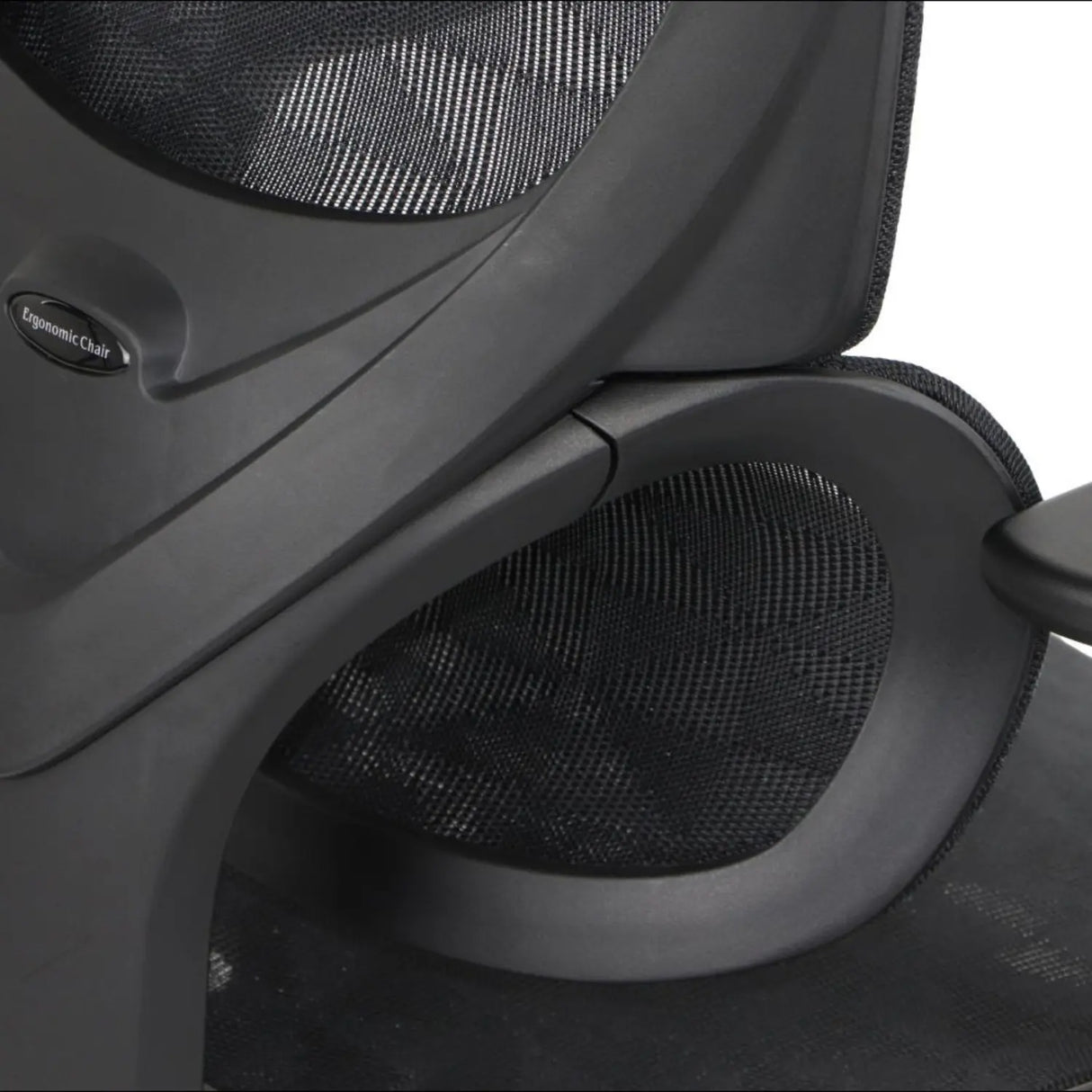 Ergonomic Office Chair ErgoNew S1A