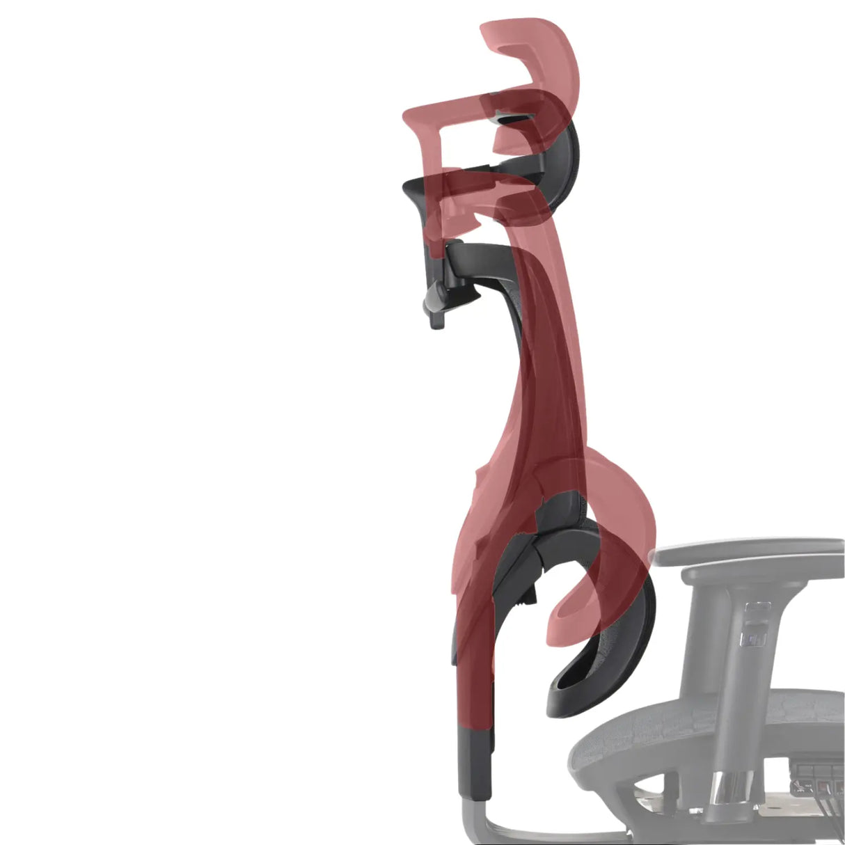 Ergonomic Office Chair ErgoNew S1A