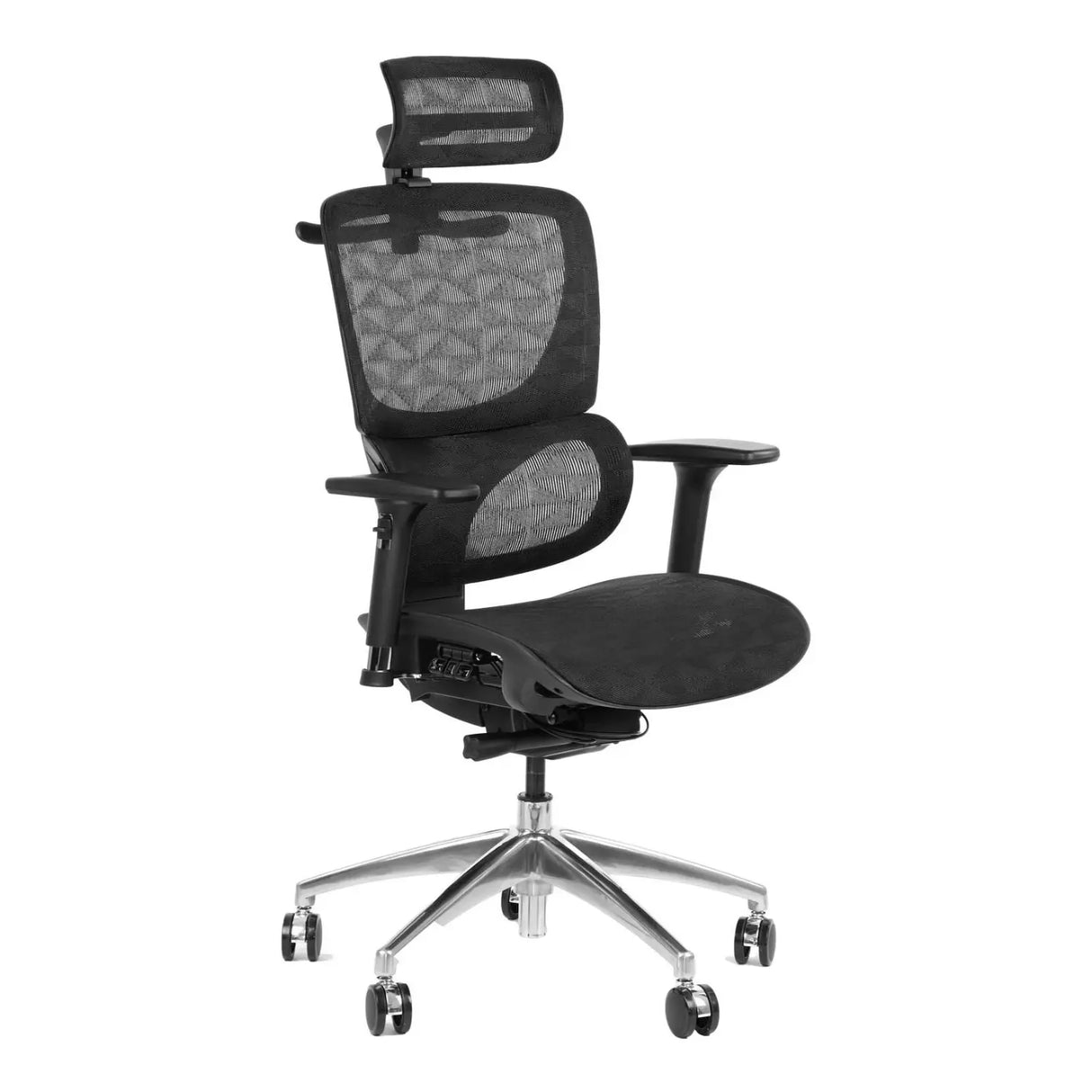 Ergonomic Office Chair ErgoNew S1A