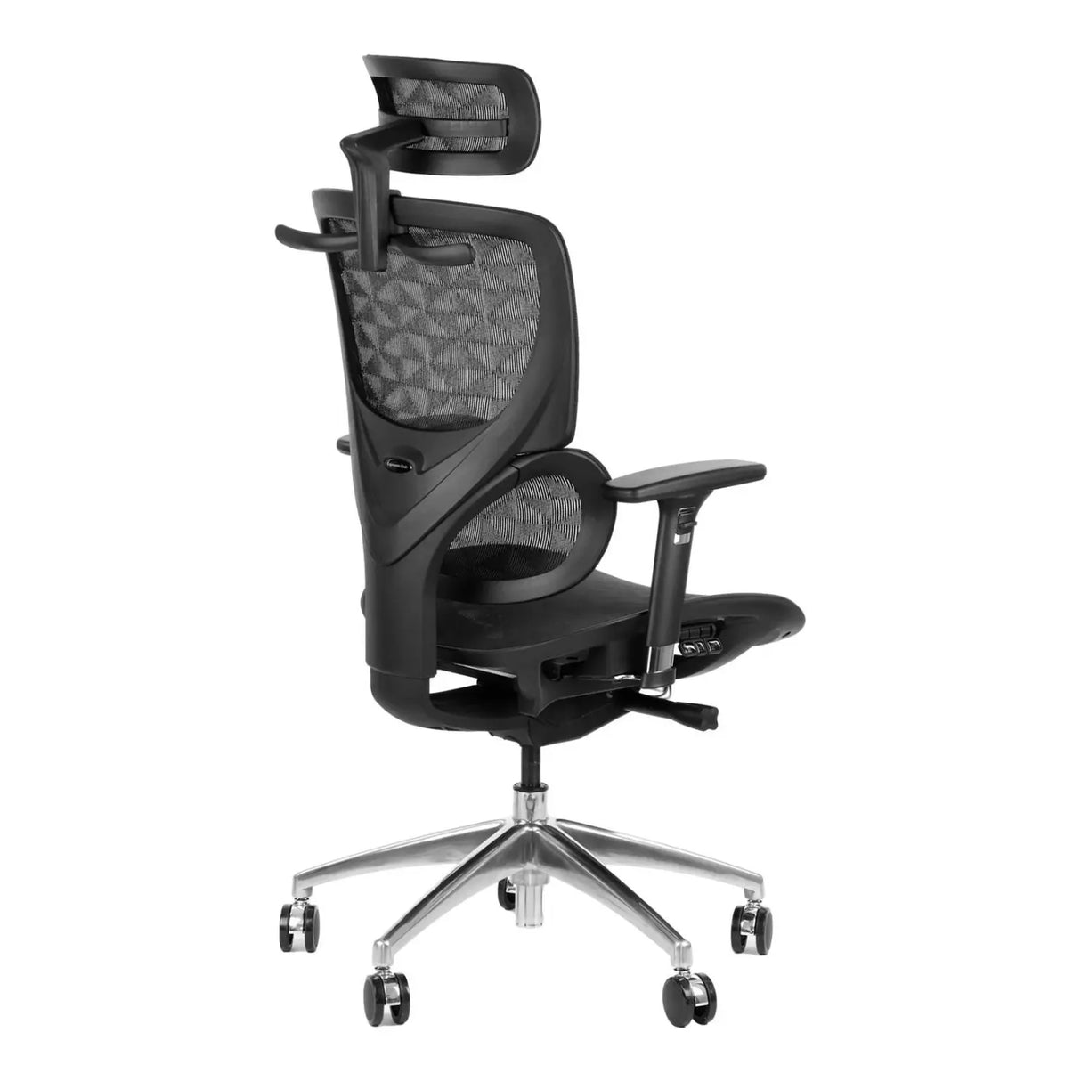 Ergonomic Office Chair ErgoNew S1A
