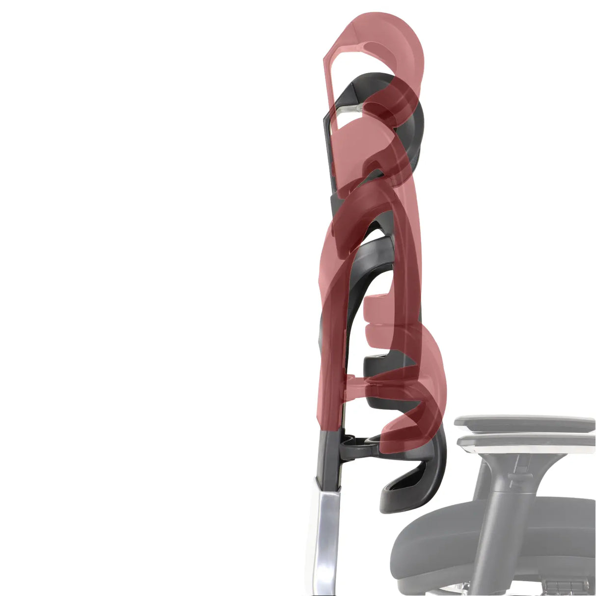 Ergonomic Office Chair ErgoNew S7