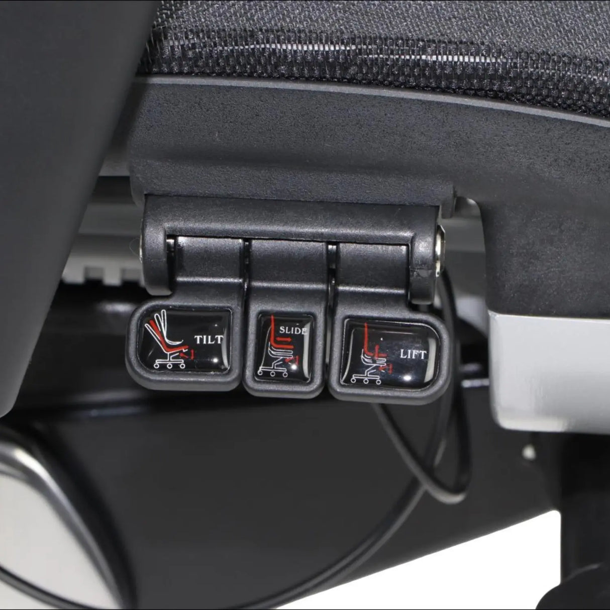 Ergonomic Office Chair ErgoNew S8