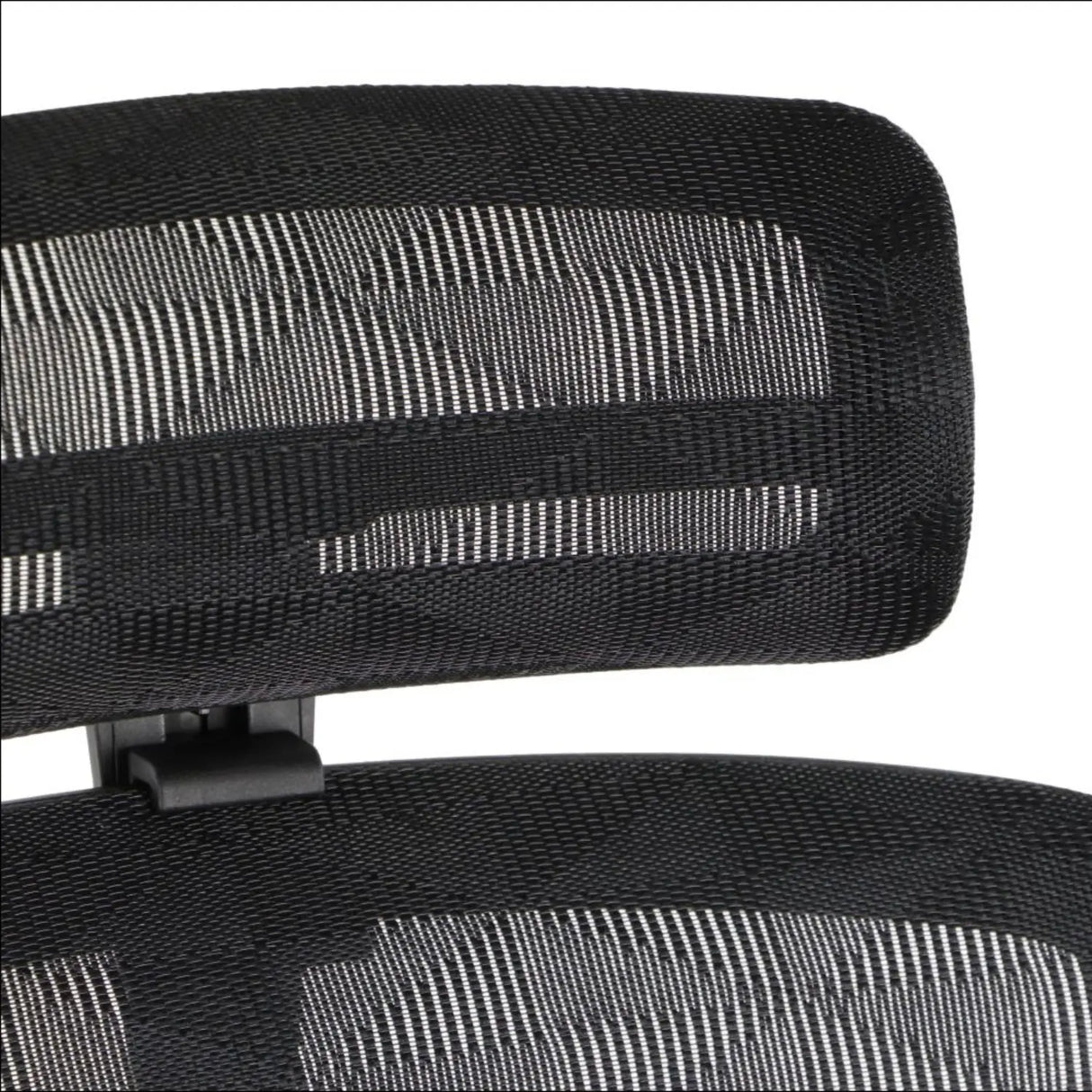 Ergonomic Office Chair ErgoNew S1