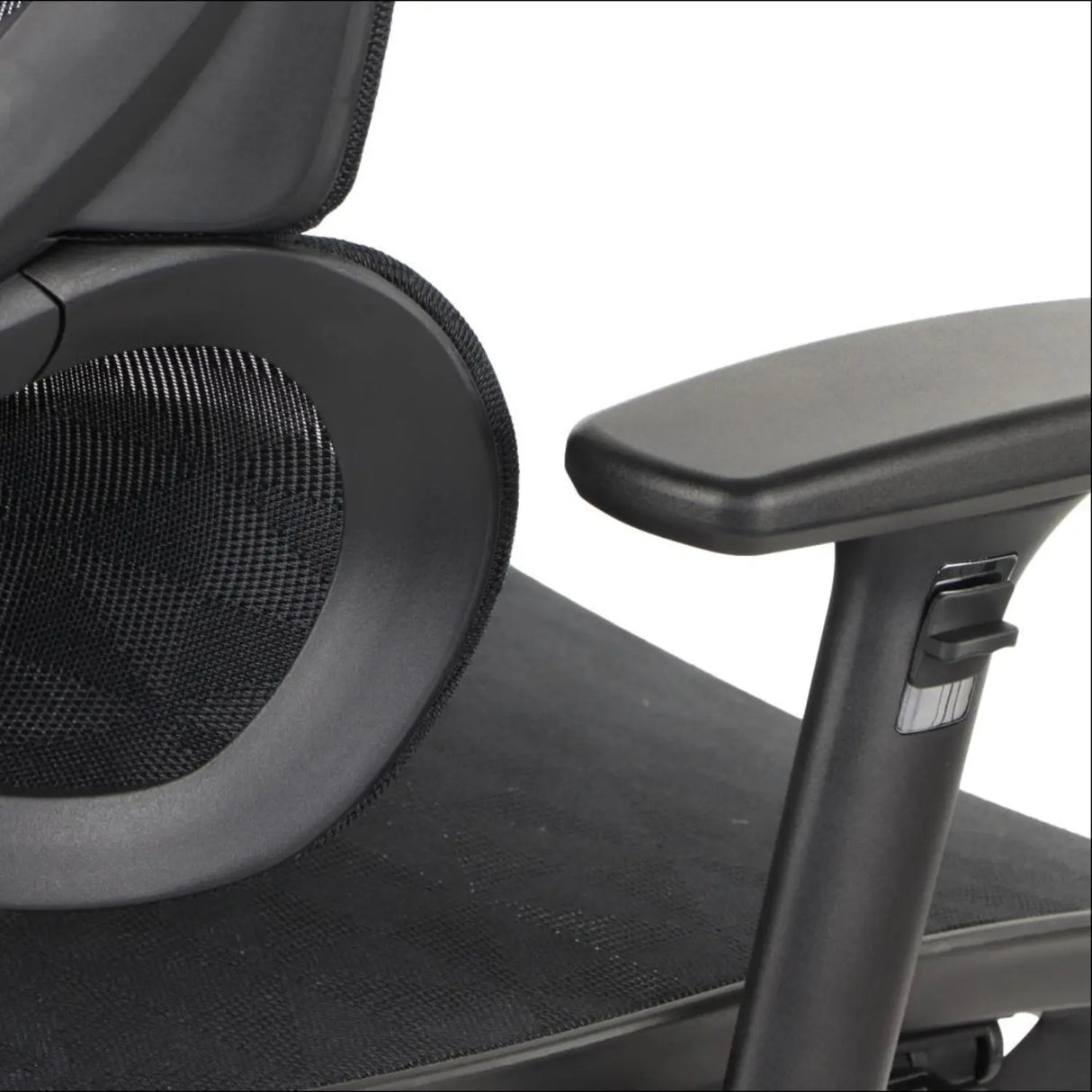 Ergonomic Office Chair ErgoNew S1