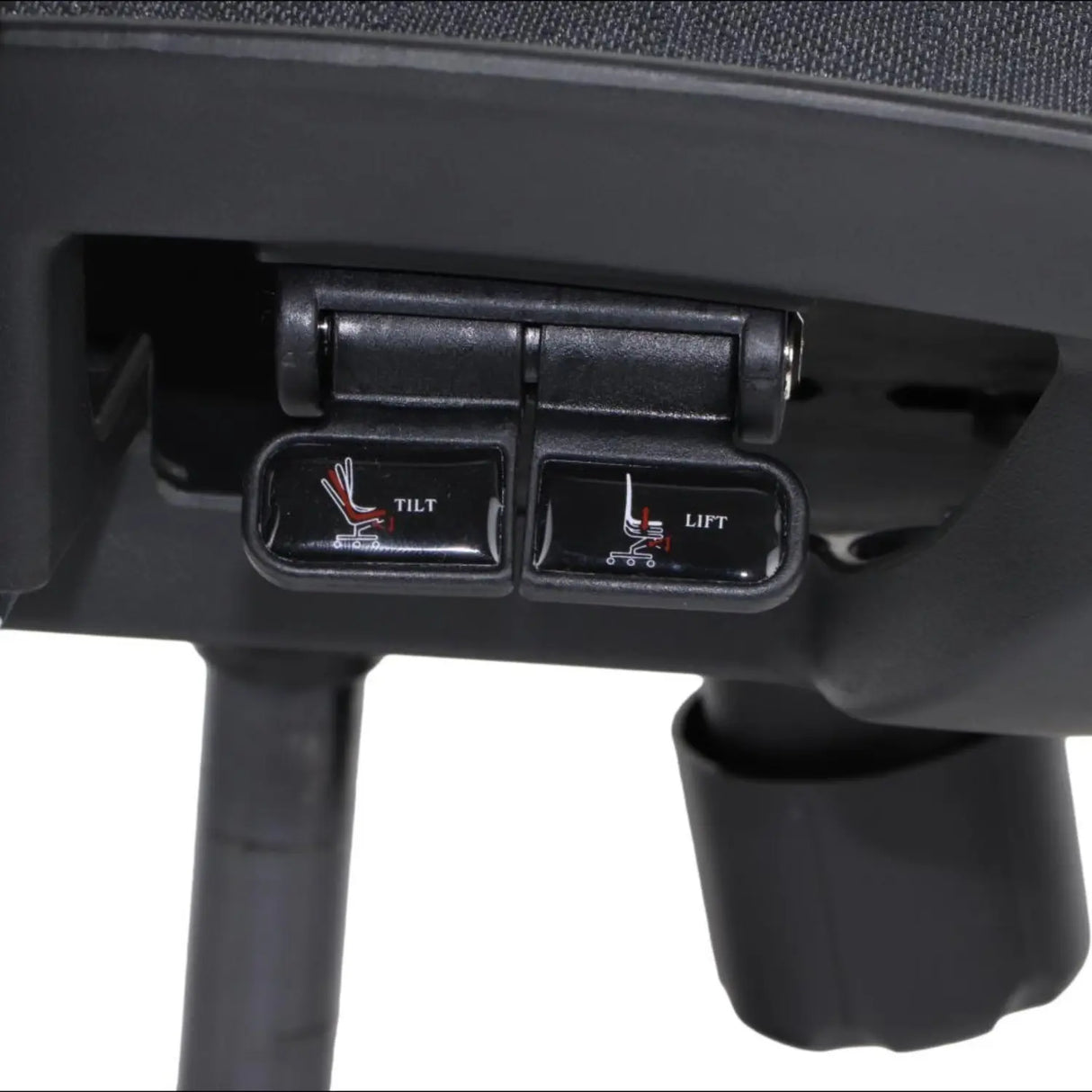 Ergonomic Office Chair ErgoNew S1