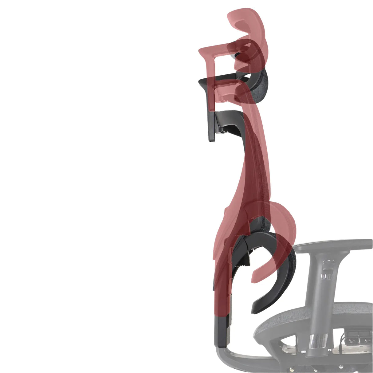 Ergonomic Office Chair ErgoNew S1