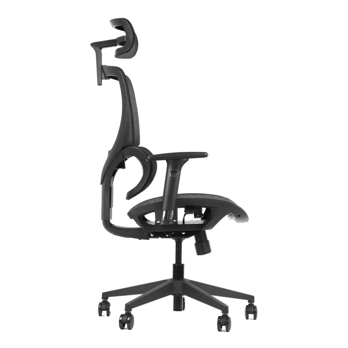 Ergonomic Office Chair ErgoNew S1