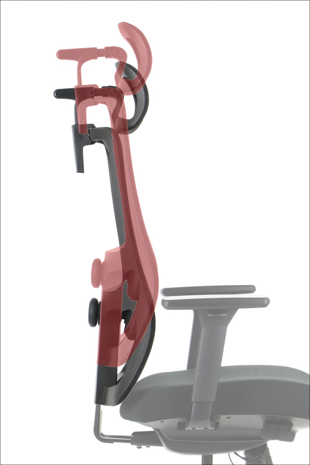 Ergonomic Office Chair XELO