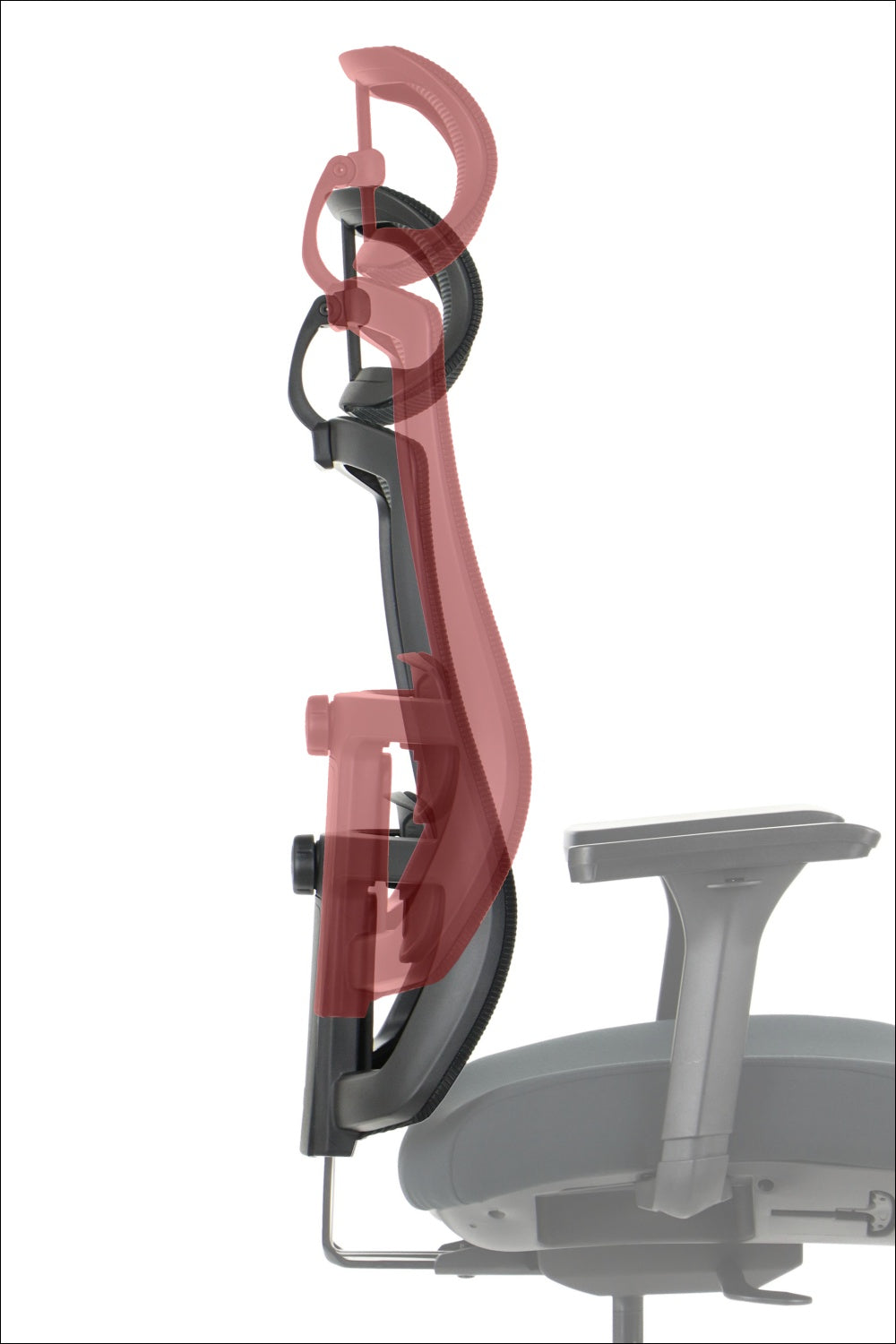 Ergonomic Office Chair MITTE