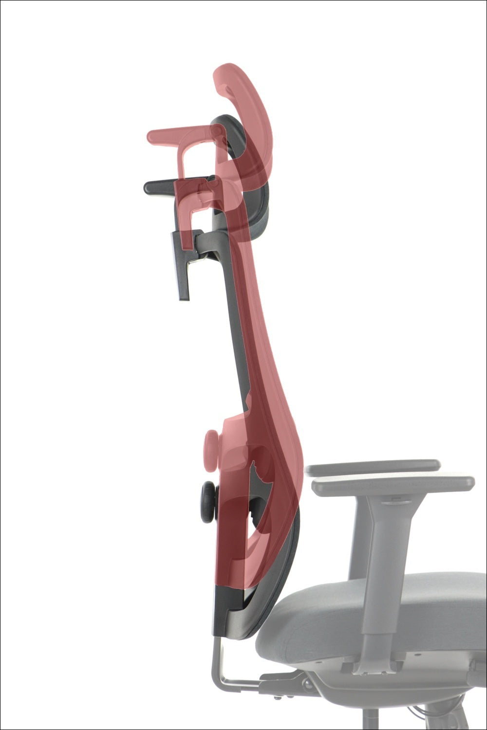 Ergonomic Office Chair XELO