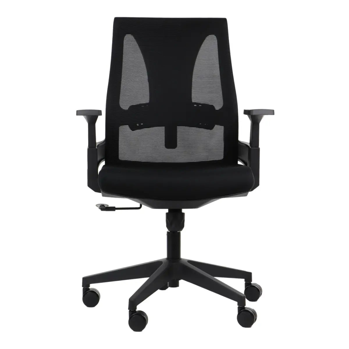 Ergonomic Office Chair OLTON L